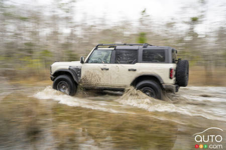 White Ford Bronco Everglades